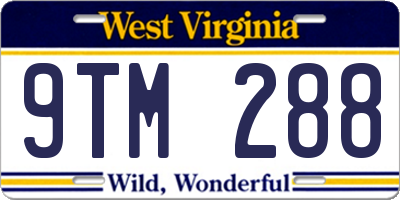 WV license plate 9TM288