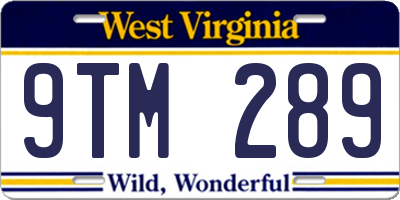 WV license plate 9TM289