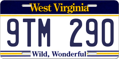 WV license plate 9TM290
