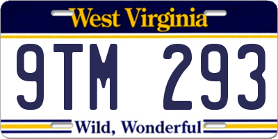 WV license plate 9TM293