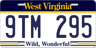 WV license plate 9TM295