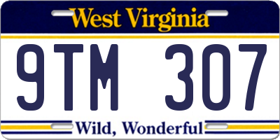 WV license plate 9TM307