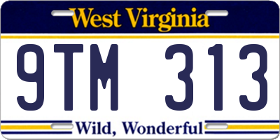 WV license plate 9TM313