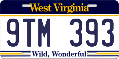 WV license plate 9TM393
