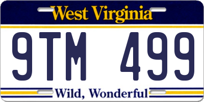 WV license plate 9TM499