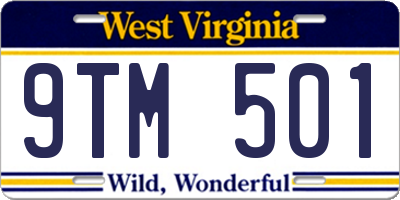 WV license plate 9TM501