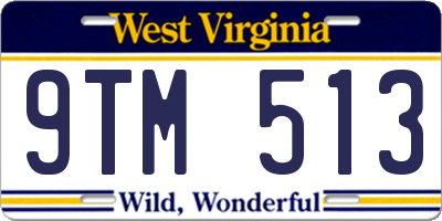 WV license plate 9TM513
