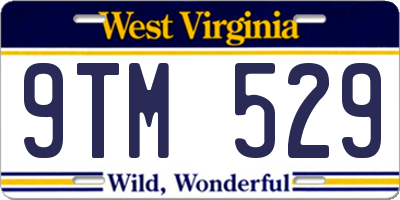 WV license plate 9TM529