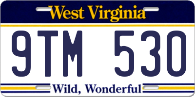 WV license plate 9TM530