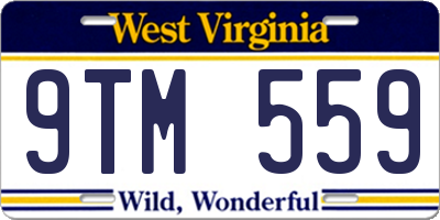WV license plate 9TM559
