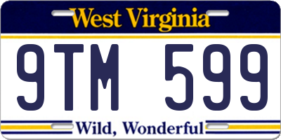 WV license plate 9TM599