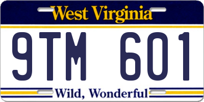 WV license plate 9TM601