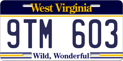 WV license plate 9TM603