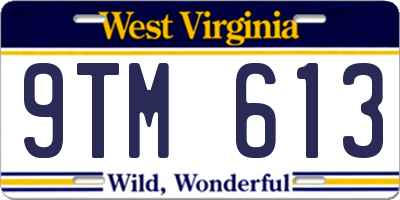 WV license plate 9TM613