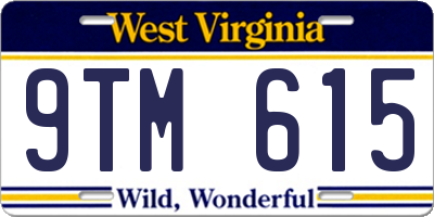 WV license plate 9TM615