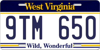 WV license plate 9TM650