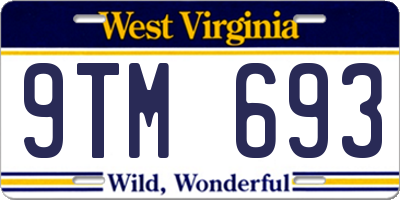 WV license plate 9TM693