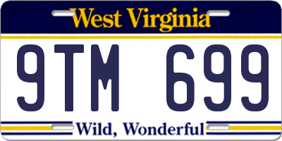 WV license plate 9TM699