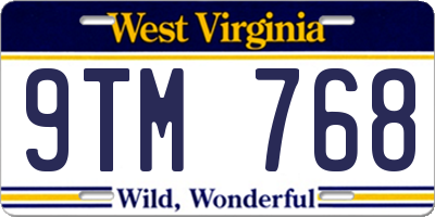 WV license plate 9TM768