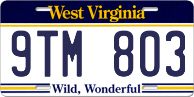 WV license plate 9TM803