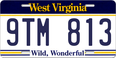 WV license plate 9TM813