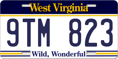 WV license plate 9TM823