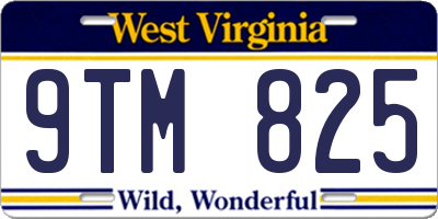 WV license plate 9TM825