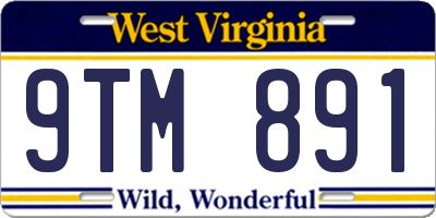 WV license plate 9TM891