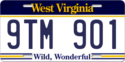 WV license plate 9TM901