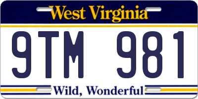 WV license plate 9TM981