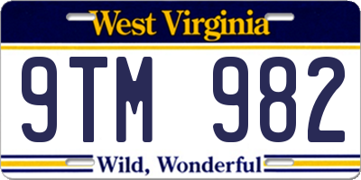 WV license plate 9TM982