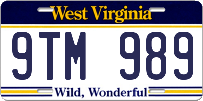 WV license plate 9TM989