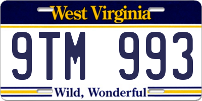 WV license plate 9TM993