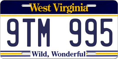 WV license plate 9TM995