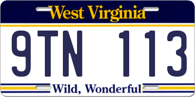 WV license plate 9TN113