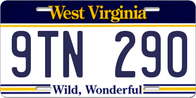 WV license plate 9TN290