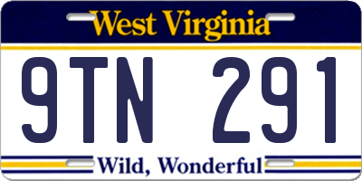 WV license plate 9TN291