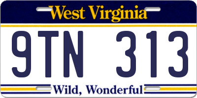 WV license plate 9TN313