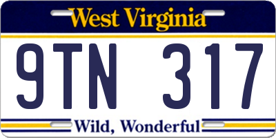 WV license plate 9TN317