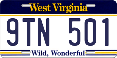 WV license plate 9TN501