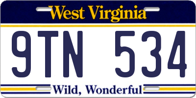 WV license plate 9TN534
