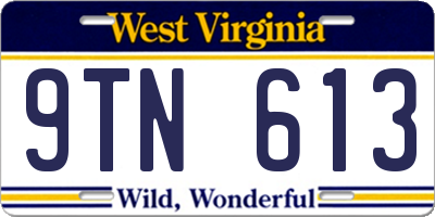WV license plate 9TN613
