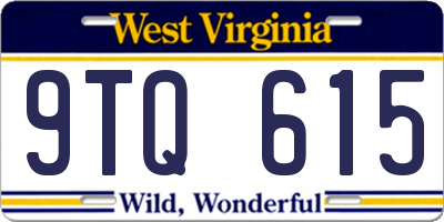 WV license plate 9TQ615