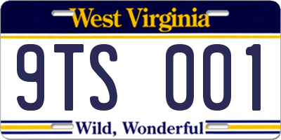 WV license plate 9TS001