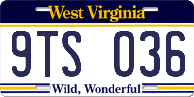 WV license plate 9TS036