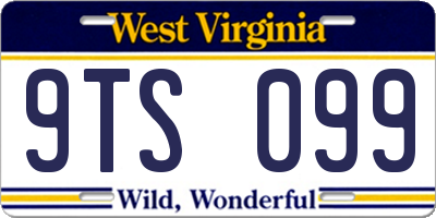 WV license plate 9TS099