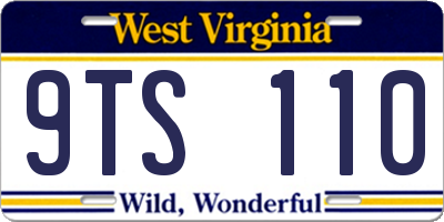 WV license plate 9TS110