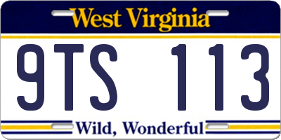 WV license plate 9TS113
