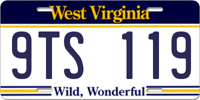 WV license plate 9TS119