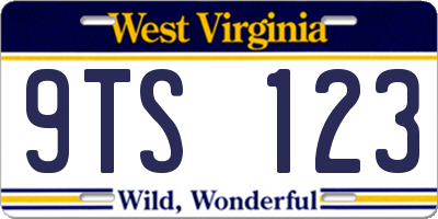 WV license plate 9TS123